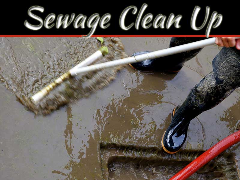Sewage Clean Up