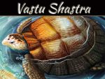 Importance Of Tortoise And Its Direction In Vastu Shastra Importance Of Tortoise And Its Direction In Vastu Shastra