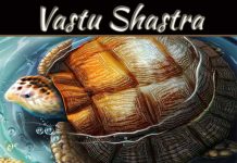 Importance Of Tortoise And Its Direction In Vastu Shastra Importance Of Tortoise And Its Direction In Vastu Shastra