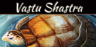 Importance Of Tortoise And Its Direction In Vastu Shastra Importance Of Tortoise And Its Direction In Vastu Shastra