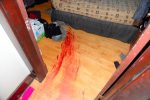 Blood Stains On Hardwood Floor