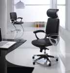 trendy contemporary office chairs