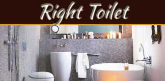 Choosing The Right Toilet Choosing The Right Toilet