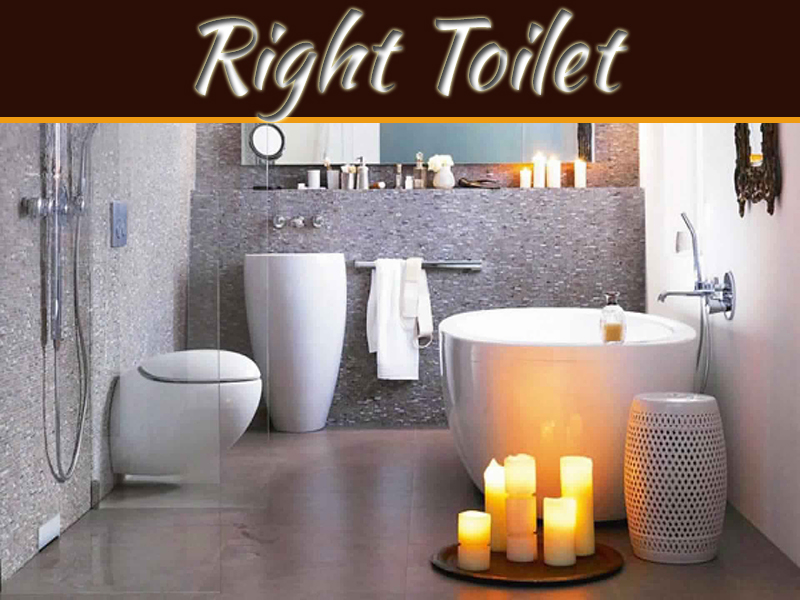 Choosing the Right Toilet