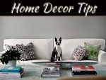 Home Tips For Pet Owners: Create A Clean, Safe, And Stylish Space Home Tips For Pet Owners