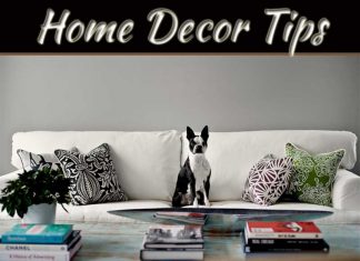 Home Tips For Pet Owners: Create A Clean, Safe, And Stylish Space Home Tips For Pet Owners
