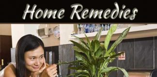Protect Furniture By Home Remedies As Insecticides Protect Furniture By Home Remedies As Insecticides