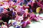 Dried natural flowers