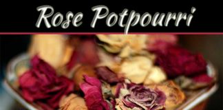 Make Rose Potpourri At Home Make Rose Potpourri At Home
