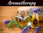 Aromatherapy for Your Home The Top 3 Affordable Options For Purifying The Air In Your Home