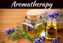 The Top 3 Affordable Options For Purifying The Air In Your Home The Top 3 Affordable Options For Purifying The Air In Your Home