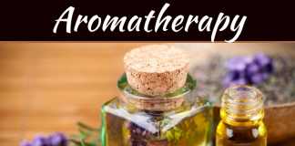 The Top 3 Affordable Options For Purifying The Air In Your Home The Top 3 Affordable Options For Purifying The Air In Your Home