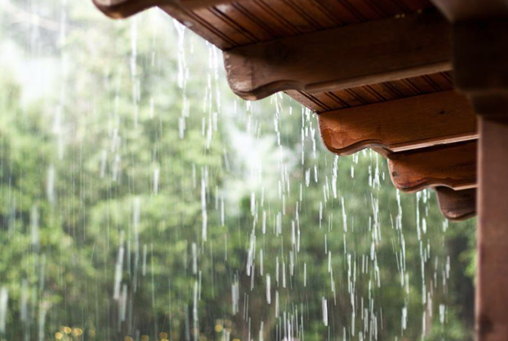 Monsoon Tips