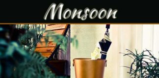 Monsoon Season: Do Away With The Gloom Monsoon Season: Do Away With The Gloom