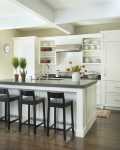 Traditional-Kitchen-with-Small-Plants-and-Flower-on-Honed-Caesarstone-Raven-Color-Kitchen-Island