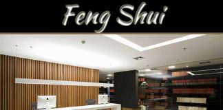 Feng Shui Tips For An Office Feng Shui Tips For An Office