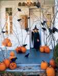 Halloween Decorations Pumpkins Ravens