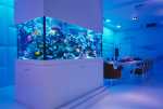 Room Decorating Ideas with Aquarium