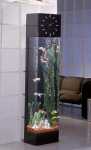small-fish-tank