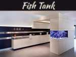 Why Place Fish Tank In Wealth And Abundance Area? Why Place Fish Tank In Wealth And Abundance Area?