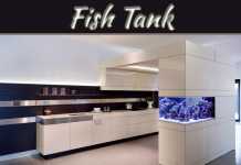 Why Place Fish Tank In Wealth And Abundance Area? Why Place Fish Tank In Wealth And Abundance Area?