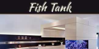 Why Place Fish Tank In Wealth And Abundance Area? Why Place Fish Tank In Wealth And Abundance Area?