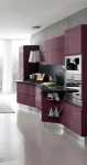 Fashionable Modern Purple Kitchen Cabinets Design