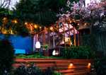 led-lights-in-contemporary-garden