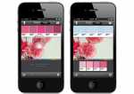 Palettes App Iphone