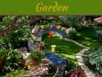 Invaluable Gardening Tips for New Gardeners 9 Gardening Tips For Beginners