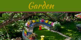 Invaluable Gardening Tips for New Gardeners 9 Gardening Tips For Beginners