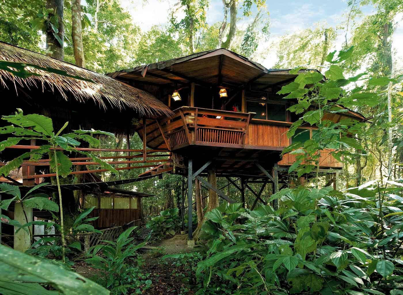 Tree-house Lodge Limon Costa Rica