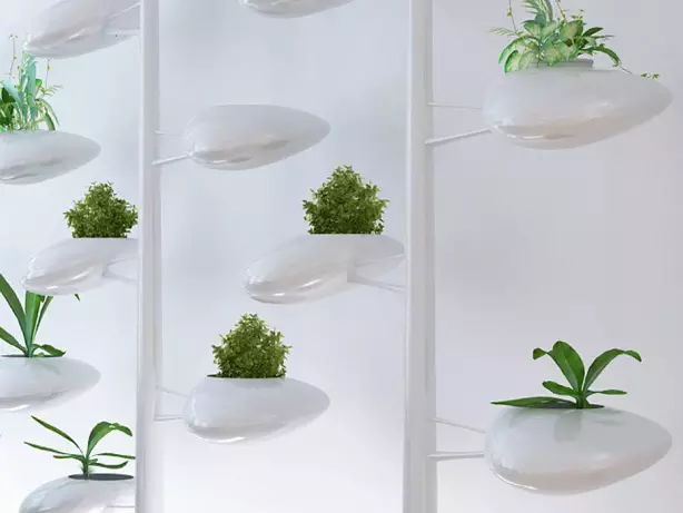 danielle-trophe-live-screen-pods