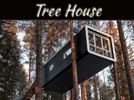 Have A Look On Top Stunning Tree House Around The Globe Have A Look On Top Stunning Tree House Around The Globe