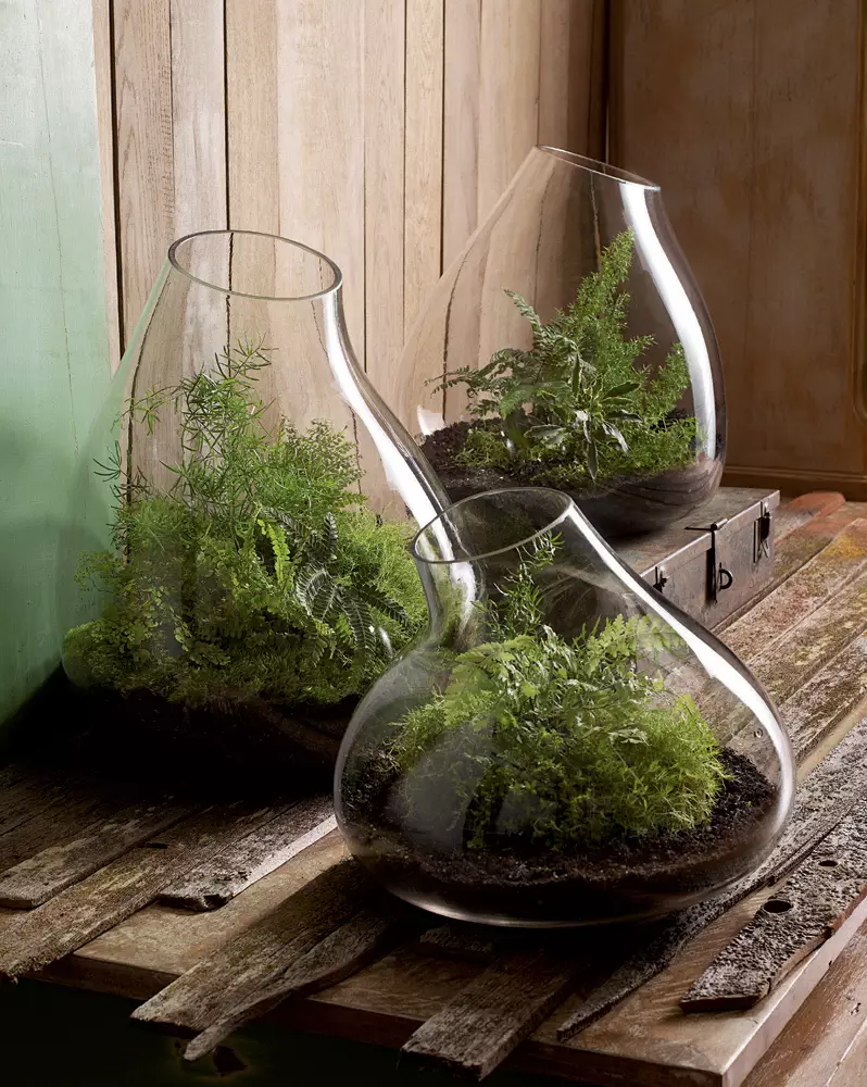 indoor glass pot small garden