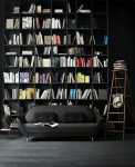 luxurious interior balck sofa and bookshelf design