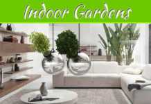 Modern Indoor Gardens Modern Indoor Gardens
