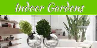 Modern Indoor Gardens Modern Indoor Gardens