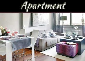 Stylish Small Apartments Stylish Small Apartments