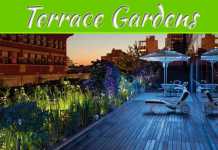 Terrace Gardens Of New York City Terrace Gardens of New York City