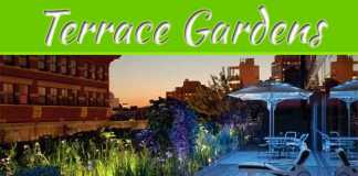 Terrace Gardens Of New York City Terrace Gardens of New York City