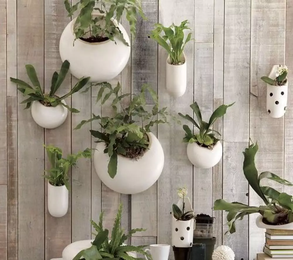 wall garden plant pots