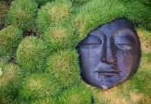 Vastu Shastra’s Garden Layout Tips