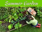 Delicious Summer Garden Delicious Summer Garden