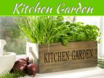 Four Veggies For The Kitchen Garden Four Veggies For The Kitchen Garden