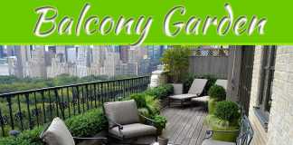 Balcony Garden for City Homes Balcony Garden For City Homes