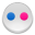 flickr-icon