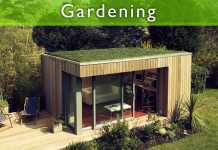 Top 5 Tips Of Having A Perfect Garden Shed Top 5 Tips Of Having A Perfect Garden Shed