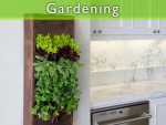 Grow Your Own Small Salad Garden Grow Your Own Small Salad Garden featured