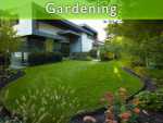 Keep Your Garden As Good As Fresh Keep Your Garden As Good As Fresh
